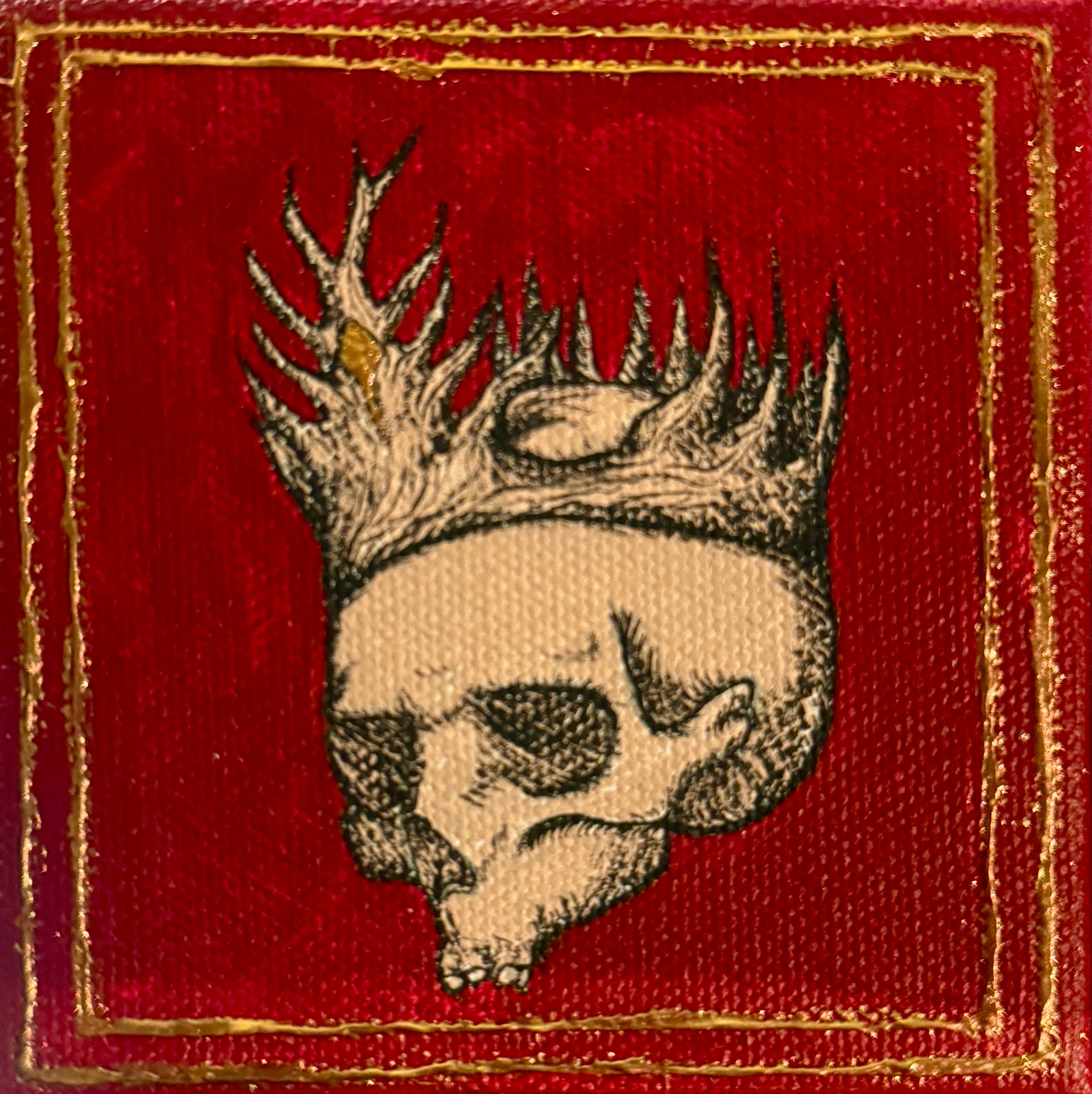 Mini Skull - StoryBook Collection