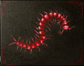 Red centipede on a dark textured background