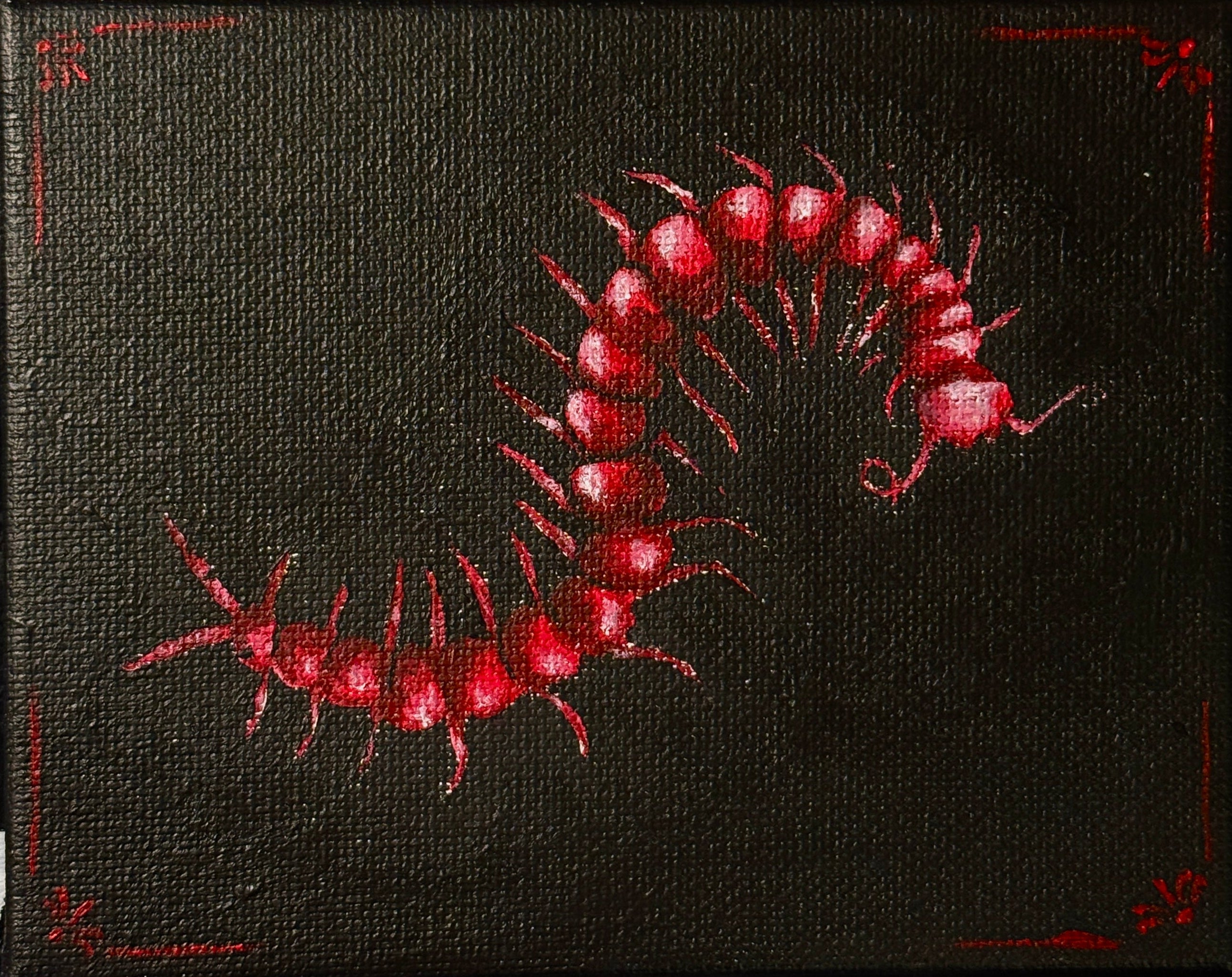 Red centipede on a dark textured background