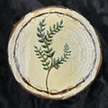 Wooden coaster with engraved leaf design on a black textured background