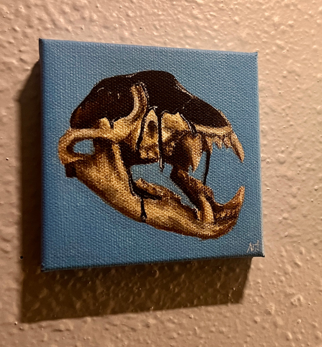 3/3 Humans Affect on Nature