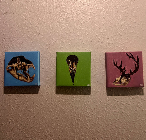 3/3 Humans Affect on Nature