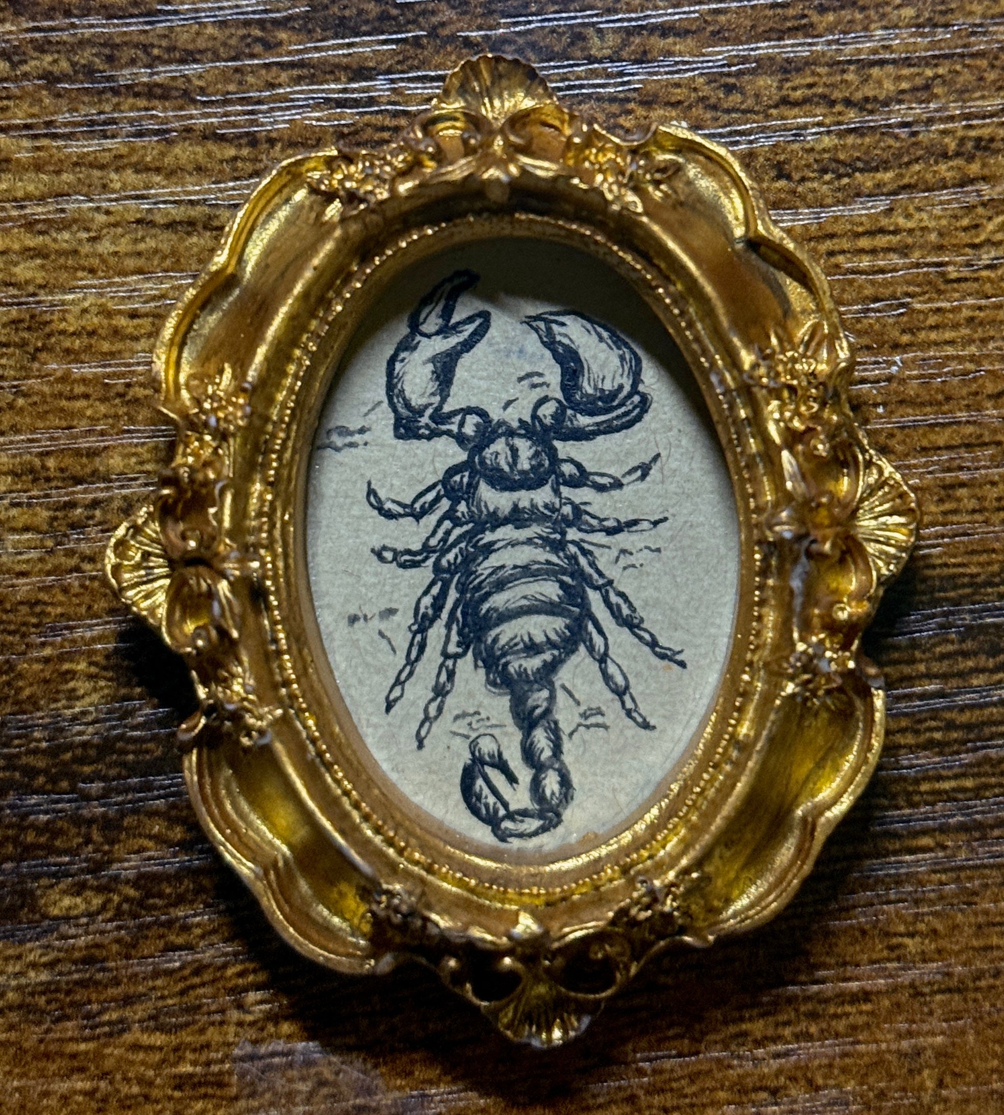 Extra Mini - Scorpion Painting