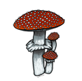 Mushroom Sticker