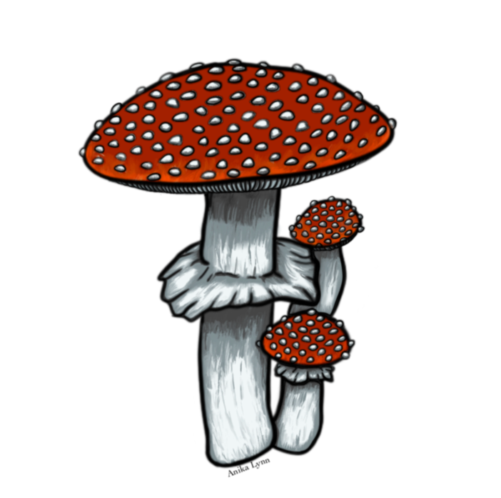 Mushroom Sticker